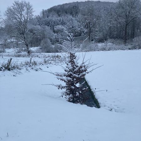 Nest Heiminghausen Apartment Schmallenberg Bagian luar foto